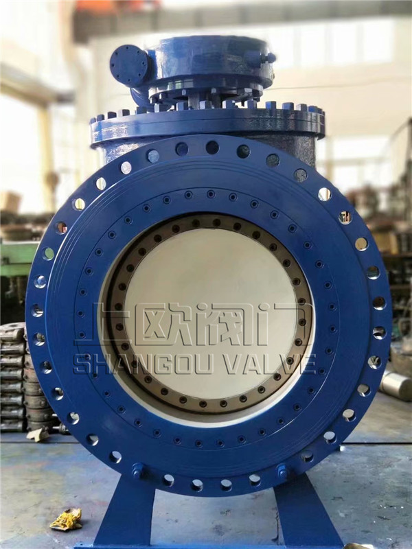 ��װʽƫ�İ���